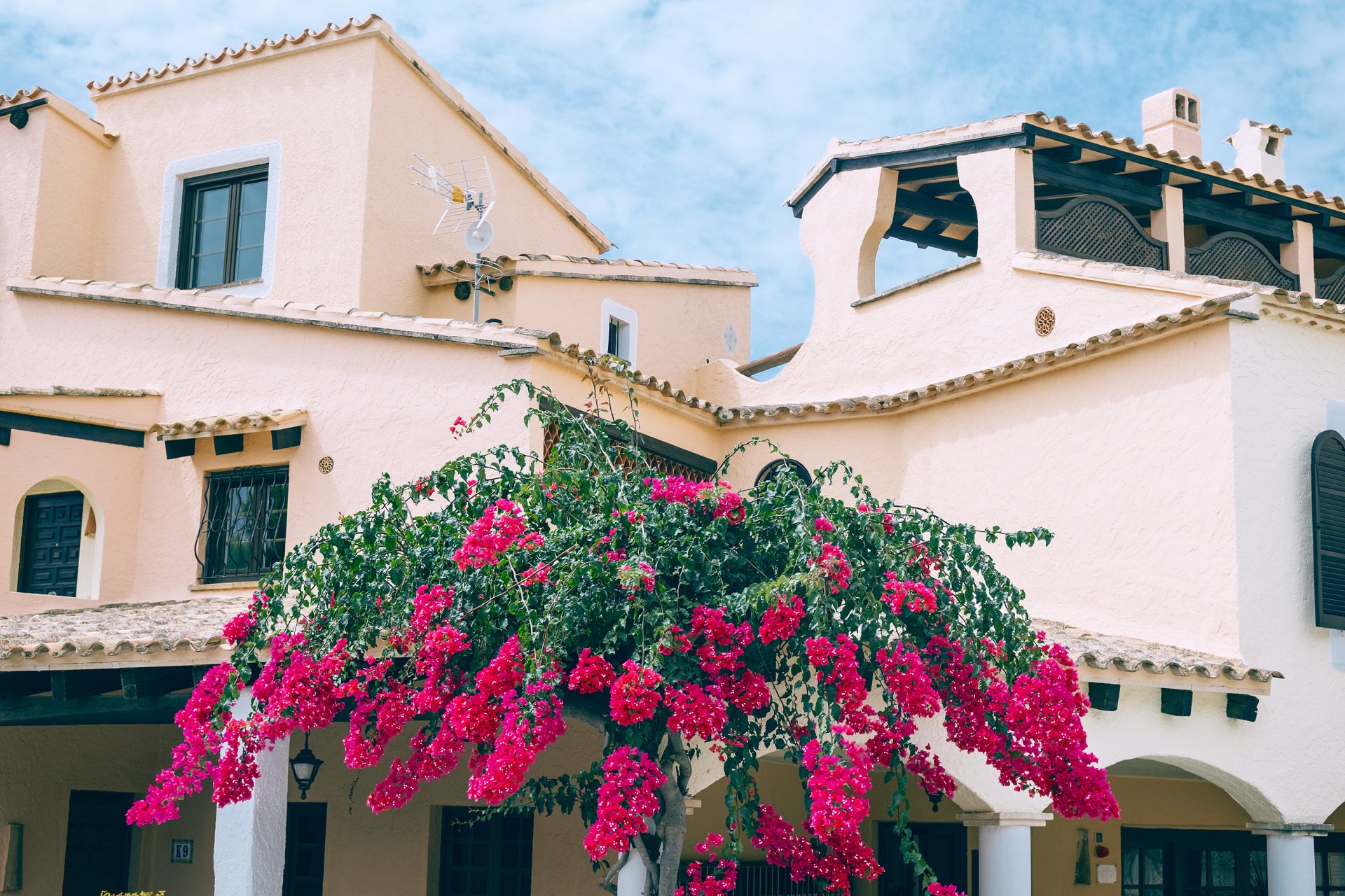 Edificio de paredes claras con tejados de teja, arcos, terraza cubierta y una planta de flores rosas en primer plano.