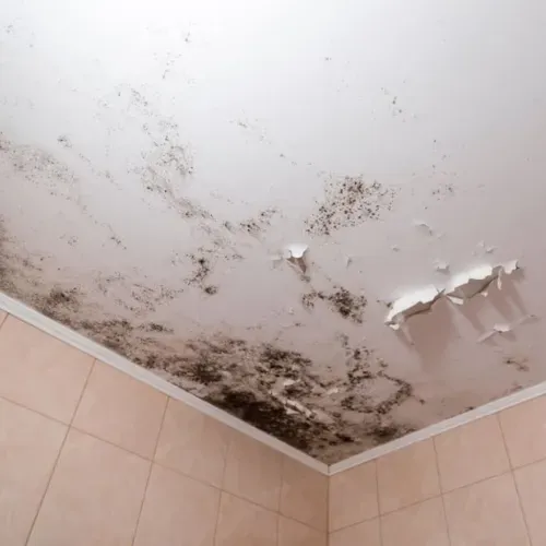 errores comunes en el tratamiento de humedades en techos