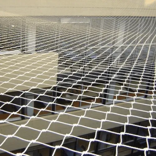 servicio de control de aves en segovia